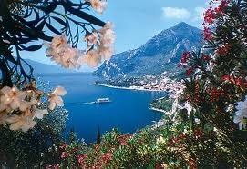 garda see